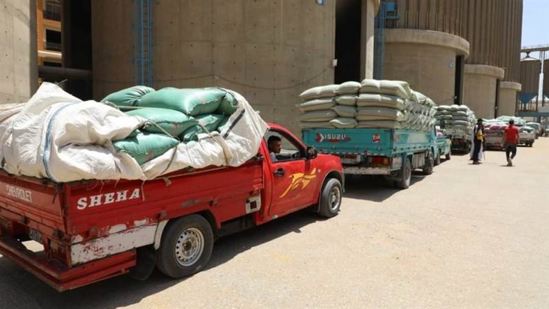 توريد محصول القمح