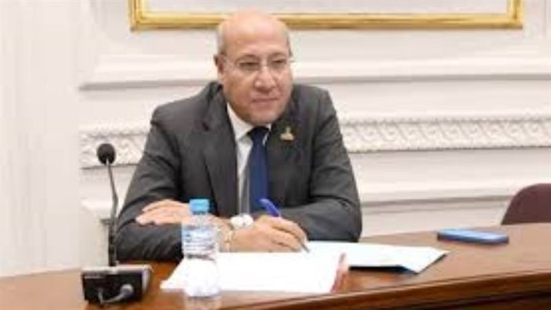 النائب عمرو عكاشة