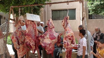 حملات تموينية على المخابز والأسواق ومحلات الجزارة ببنى سويف