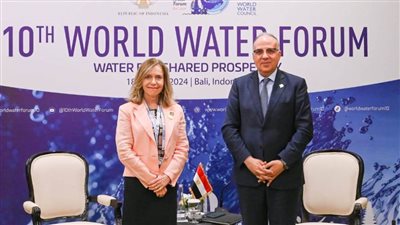 وزير الري يشيد بالدور المهم للمنظمة العالميه للأرصاد الجوية في دعم مبادرة AWARe 