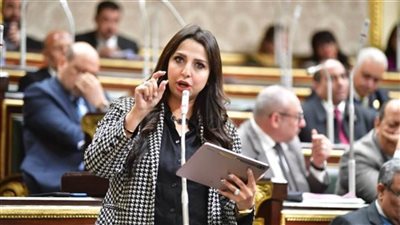 نشوي الشريف تتقدم بطلب إحاطة بشأن مشاكل الأمان فى وسائل النقل الذكية