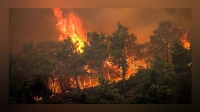 تونس والجزائر تشاركان في محاكاة 