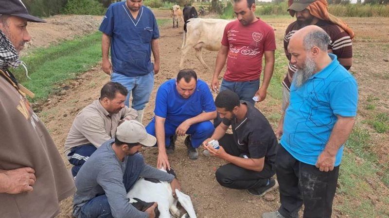 جانب من القافلة البيطرية