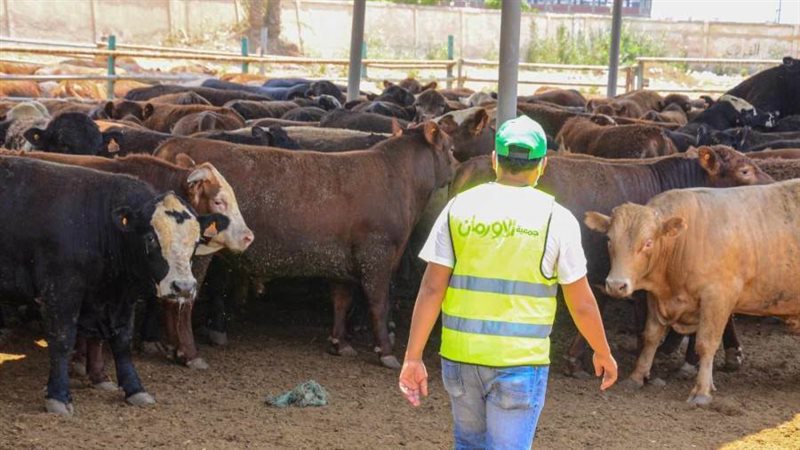 صكوك الاضاحى ببنى