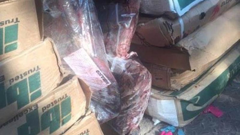 حملات الطب البيطرى