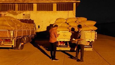 ضبط سيارتين مٌحملتين بـ 15طن أقماح محلية بالرحمانية قبل تهريبها خارج المحافظة