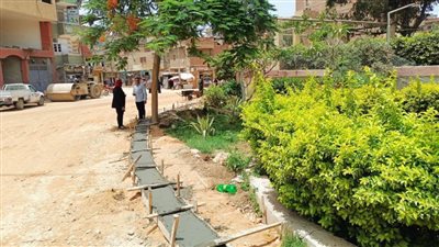 بالصور.. محافظ الغربية: إنشاء الأرصفة لشوارع التطوير النموذجى فى السنطة 