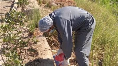 صحة المنيا.. حملات مكثفة لمكافحة مسببات وناقلات الأمراض