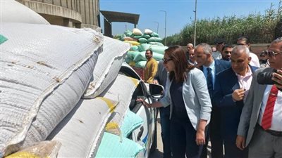 توريد 208 آلاف طن لشون وصوامع البحيرة