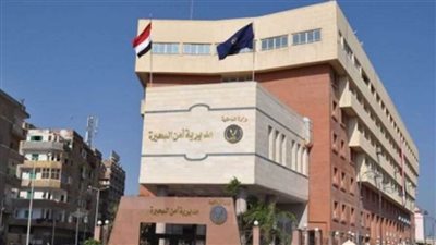 حبس تشكيل عصابي تخصص في الاتجار بالأسلحة النارية بالبحيرة 