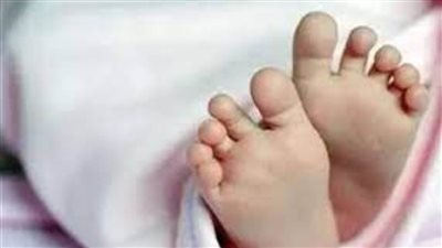 مصرع طفلة في مشاجرة بسبب كلب بمنطقة السيدة زينب بالقاهرة 