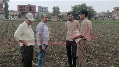 برنامج إرشادى للنهوض بإنتاجية المحاصيل الصيفية بكفرالشيخ 