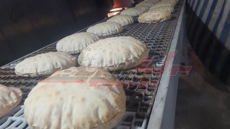 الحملات الرقابية