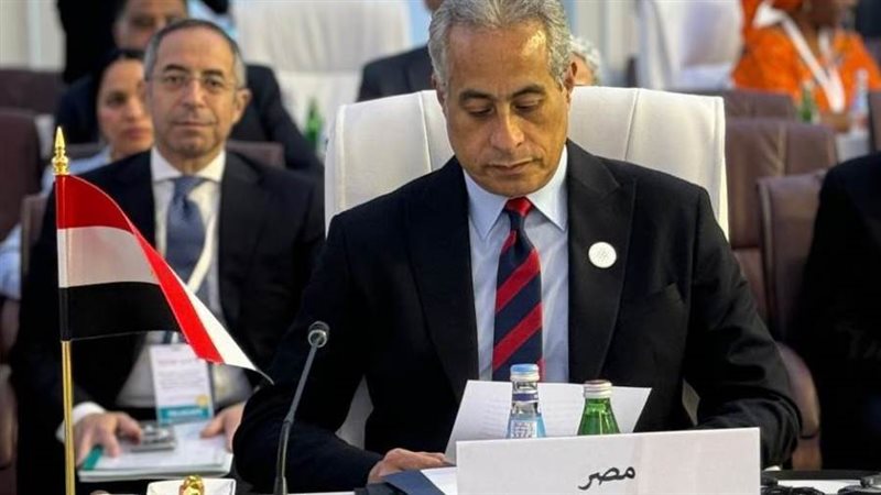 حسن شحاتة وزير العمل