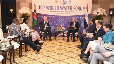  سويلم يلتقى نظيره الناميبي لبحث سبل التعاون حول أولويات مشروعات المياه القابلة للتمويل في القارة الأفريقية