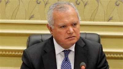 العرابي: مصر تقف سدًا منيعًا أمام مخطط تصفية القضية الفلسطينية