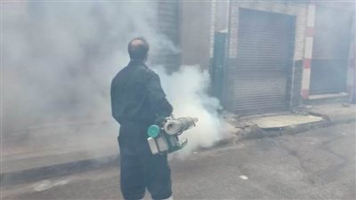 حملات يومية للترصد الحشري تجوب شوارع البحيرة