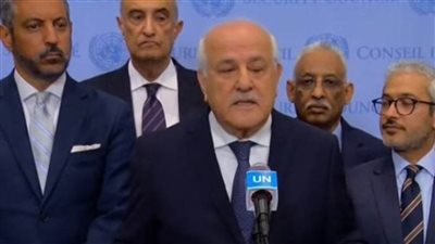 المجموعة العربية في الأمم المتحدة ترحب بقرار محكمة العدل الدولية