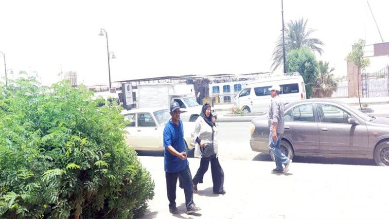 بوابة روز اليوسف