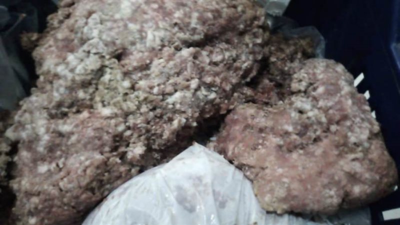 حملات الطب البيطري