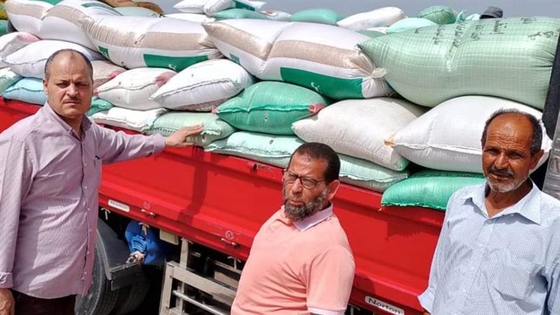 توافد عمليات توريد