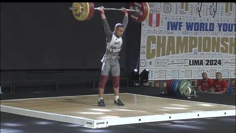 ابن القليوبية