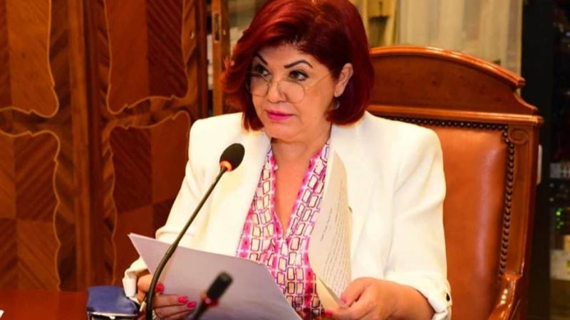 النائبة نورا علي