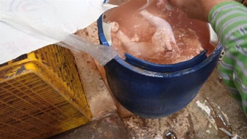 حملات الطب البيطري