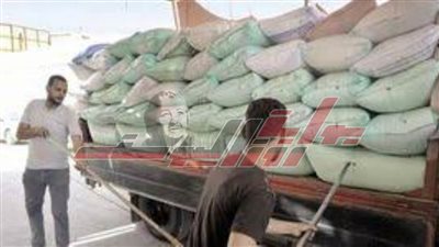 توريد 200111 طنًا و719 كيلو قمح بكفر الشيخ