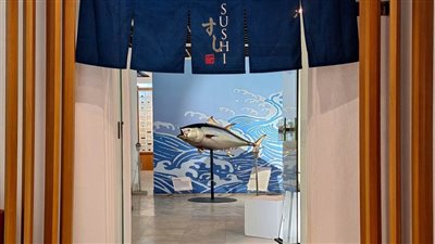 لمحبي السوشي..معرض فني بالزمالك عن تاريخه وأنواعه