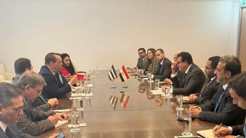 وزيرا الصحة المصري