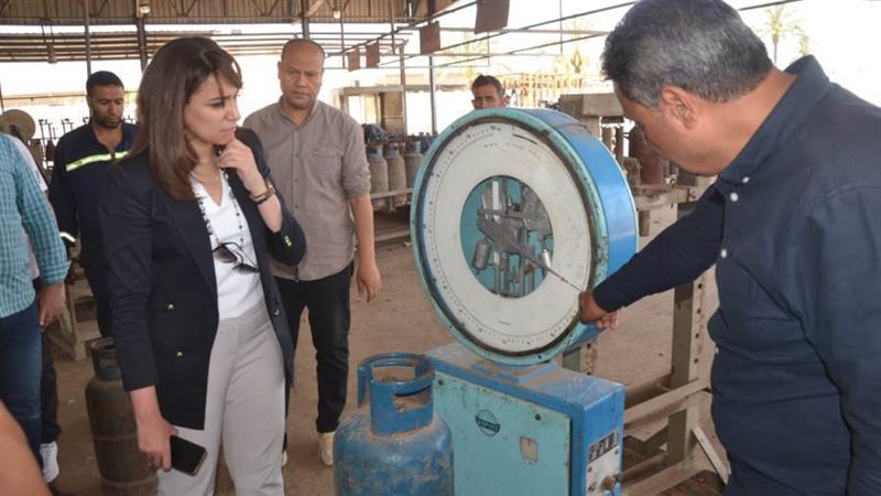 نائب محافظ البحيرة