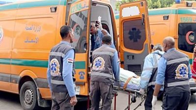 مصرع وإصابة 20 شخصًا في حادث انقلاب سيارة بأسوان