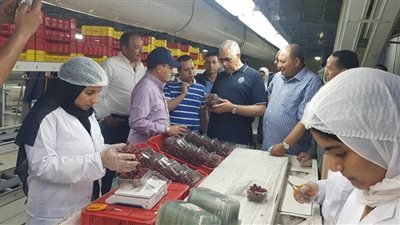 القصير يتفقد إحدى محطات ومزارع التصدير بالنوبارية