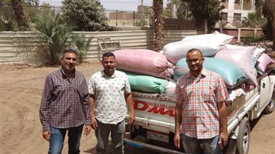 ضبط سيارة تحمل 2 طن قمح قديمة وبها إصابة حشرية بملوي المنيا