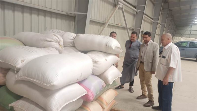 رئيس مدينة الغنايم