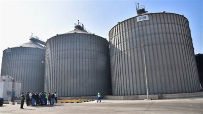 شون وصوامع الغربية تستقبل 144 ألف طن قمح