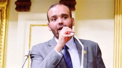 برلماني: زيارة الرئيس السيسي للصين تستهدف جذب مزيد من الاستثمارات إلى مصر