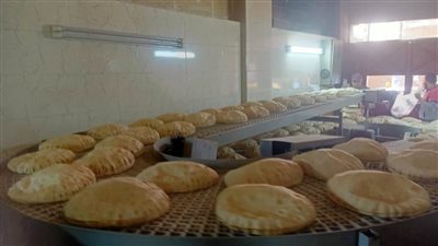 تحرير 10 محاضر لمخالفات تموينية في كفر الشيخ 