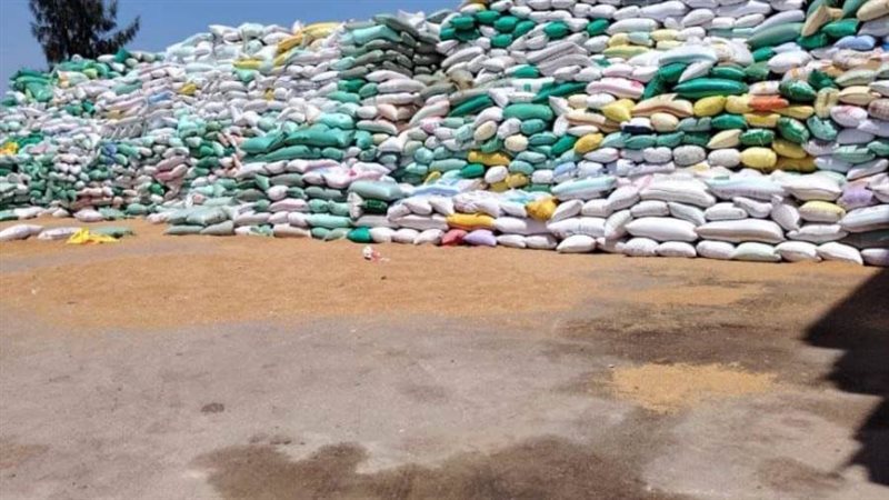 توريد القمح