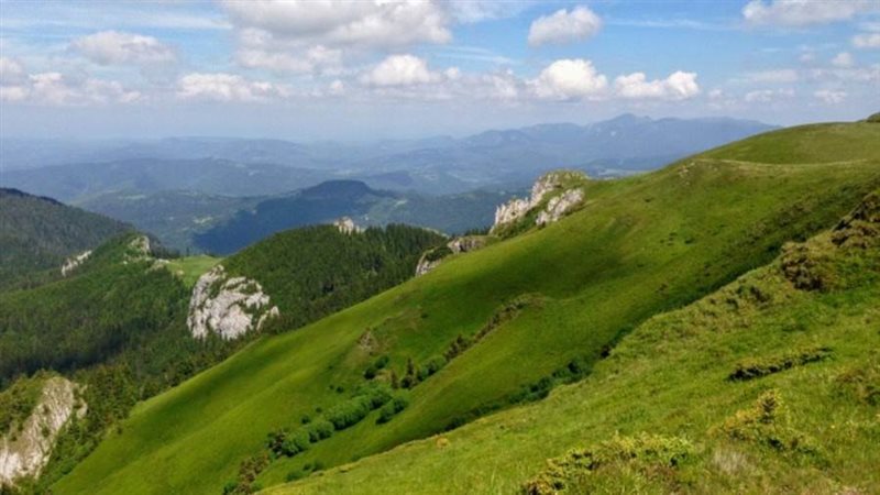 المسطحات الخضراء