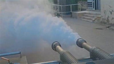 تكثيف حملات مكافحة ناقلات الأمراض بالبحيرة.. صور