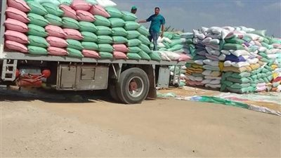 ارتفاع معدلات التوريد لـ224 ألف طن قمح محلي مطابق للمواصفات بالبحيرة