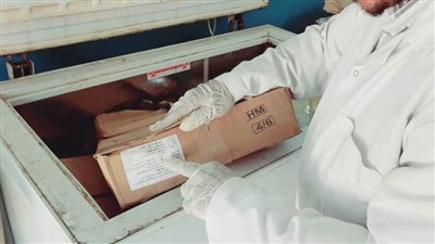 ضبط لحوم وكبدة فاسدة في حملة على المحلات بالوادي الجديد