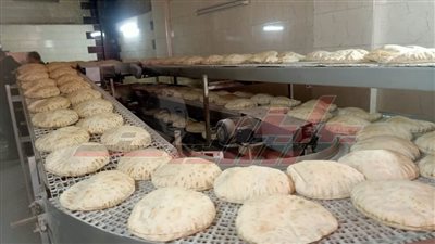 تموين كفر الشيخ يحرر 20 محضرًا تموينيًا للمخالفين