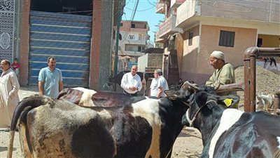 بالصور.. علاج 3321 طائرًا وماشية خلال قافلة بيطرية في الغربية