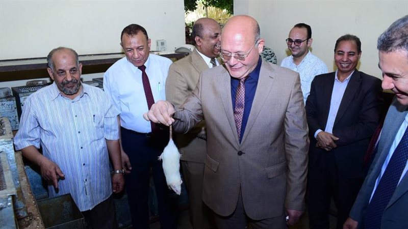 بوابة روز اليوسف