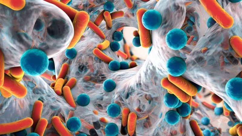 جزيء جديد لمكافحة