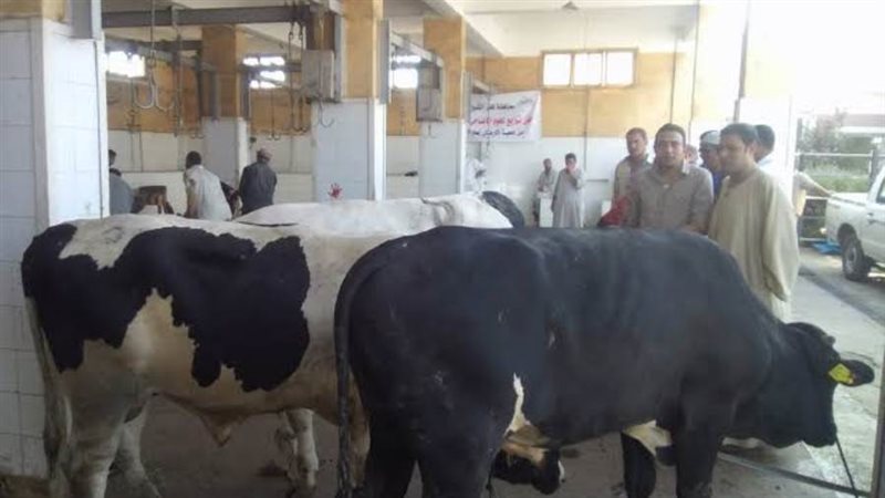 مجازر ارشيفية