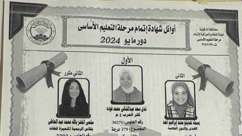 أوائل اعدادية الدقهلية